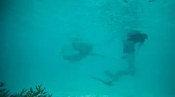 Taj Coral Reef Resort & Spa
