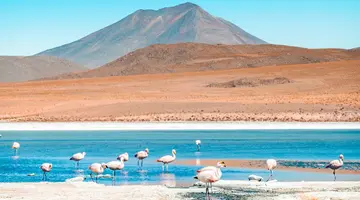 Tajemnice Altiplano – Peru, Boliwia, Chile