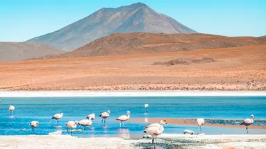 Tajemnice Altiplano – Peru, Boliwia, Chile