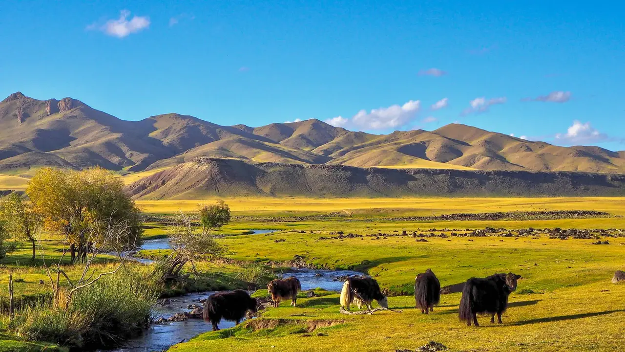 Tajemnice Mongolii: Śladami Imperium Czyngis Chana