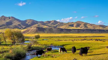 Tajemnice Mongolii: Śladami Imperium Czyngis Chana