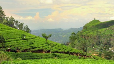 Tajemnice Sri Lanki - zakwaterowanie 3*