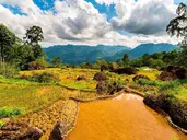 Tajemnice Sulawesi