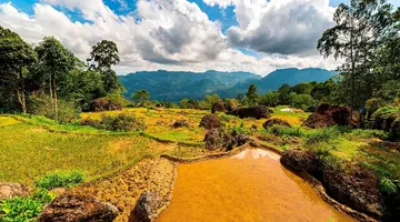 Tajemnice Sulawesi