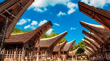 Tajemnice Sulawesi
