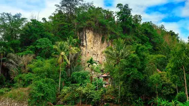 Tajemnice Sulawesi