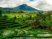 Tajemnice Sulawesi