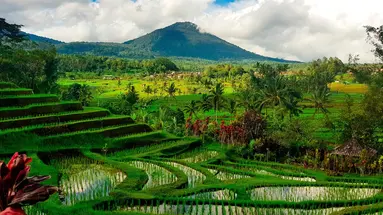 Tajemnice Sulawesi