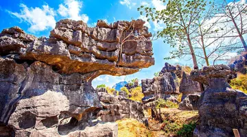 Tajemnice Sulawesi