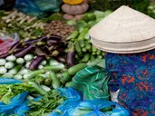Tajlandia, Wietnam, Kambodża, Malezja, Singapur, Indonezja - sześć krajów Azji