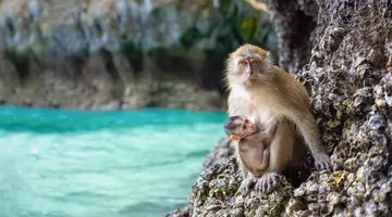 Tajski Raj: Krabi – Khao Lak – Phuket