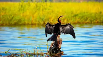 Tam, gdzie rządzi natura: Zimbabwe i Botswana