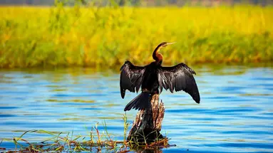 Tam, gdzie rządzi natura: Zimbabwe i Botswana