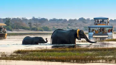 Tam, gdzie rządzi natura: Zimbabwe i Botswana