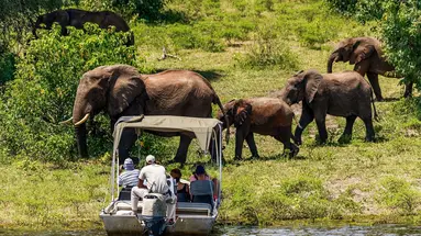 Tam, gdzie rządzi natura: Zimbabwe i Botswana