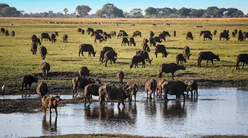 Tam, gdzie rządzi natura: Zimbabwe i Botswana