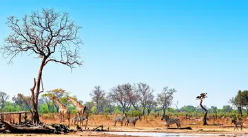Tam, gdzie rządzi natura: Zimbabwe i Botswana