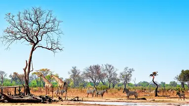 Tam, gdzie rządzi natura: Zimbabwe i Botswana