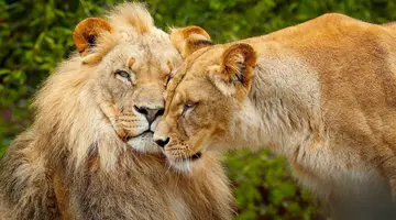 Tam, gdzie rządzi natura: Zimbabwe i Botswana