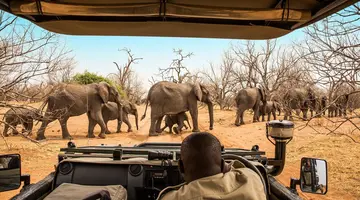 Tam, gdzie rządzi natura: Zimbabwe i Botswana