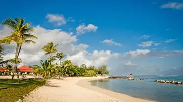 TAMASSA