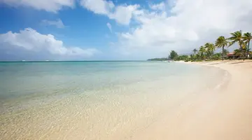 TAMASSA