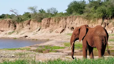 Tanzania w pigułce
