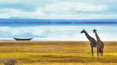 Tanzania w pigułce