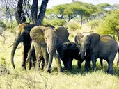 Tanzania w pigułce