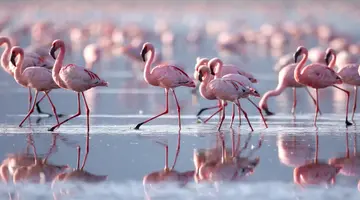 Tanzania w pigułce