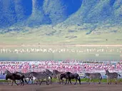 Tanzania w pigułce