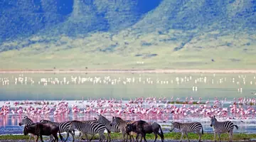 Tanzania w pigułce
