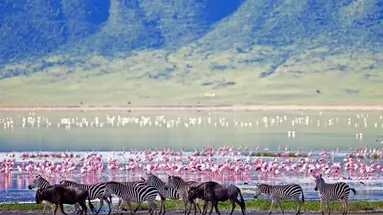 Tanzania w pigułce