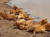 Tanzania w pigułce