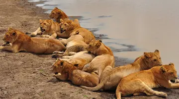 Tanzania w pigułce