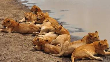 Tanzania w pigułce