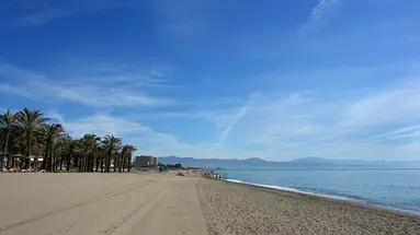 Tarik