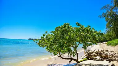 Tarisa resort & Spa
