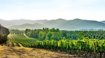Tbilisi i Baku - Jak wino i ogień