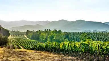Tbilisi i Baku - Jak wino i ogień