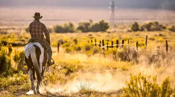 Teksas - Western Story