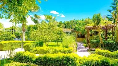 Telatiye Resort