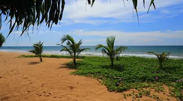 Temple Tree Resort & Spa