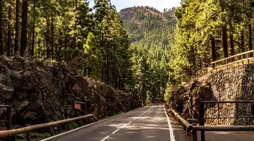 Teneryfa & La Gomera – Tam, Gdzie Lawa Spotyka Zieleń