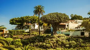 Teneryfa & La Gomera – Tam, Gdzie Lawa Spotyka Zieleń