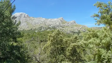 Tent Bahia de Palma
