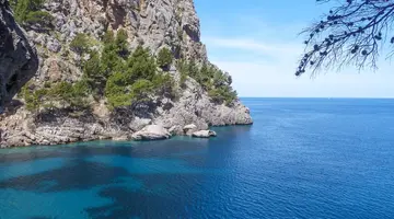 Tent Bahia de Palma