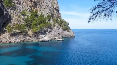 Tent Bahia de Palma