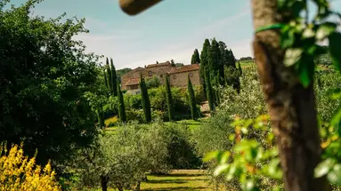 Tenuta Sant Ilario