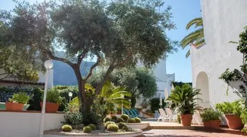 Terme Royal Palm